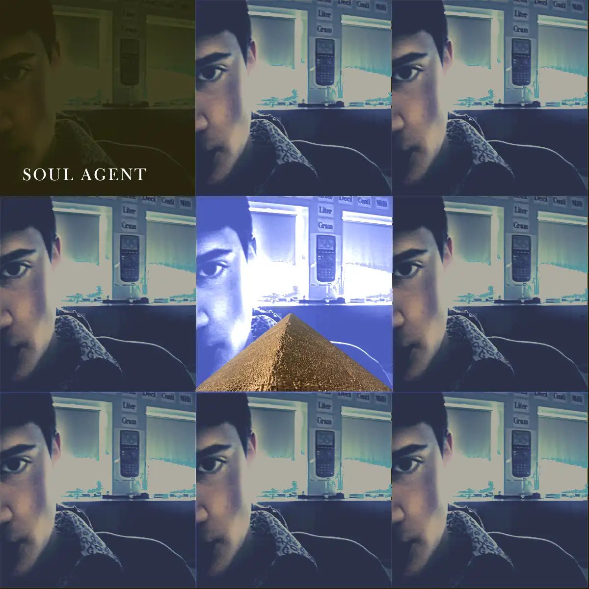 Soul Agent